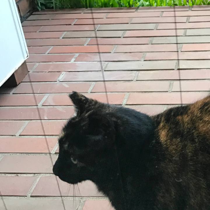 Ba5249ef deff 46ac a7a8 1382e60fb135