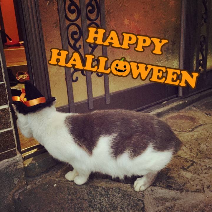 Ba5335f7 ea77 413c b60a 5d030d3b8bb2