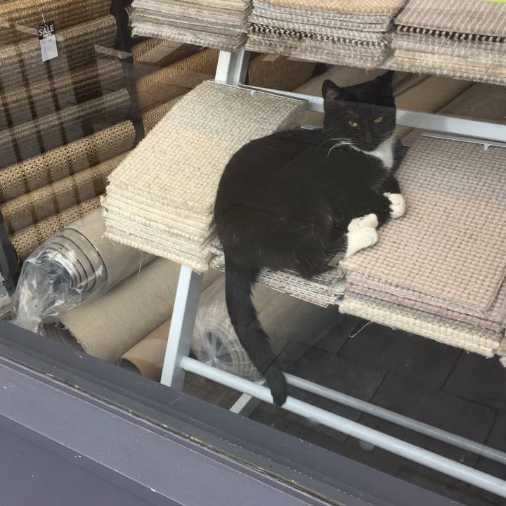 Ba53b946 3f33 47ae 9049 8d9e6aa48894