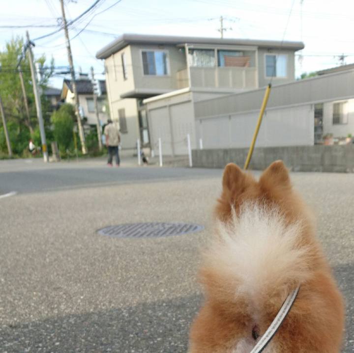 Ba546ab2 37c4 494e bb0c 11aaa68f0b91