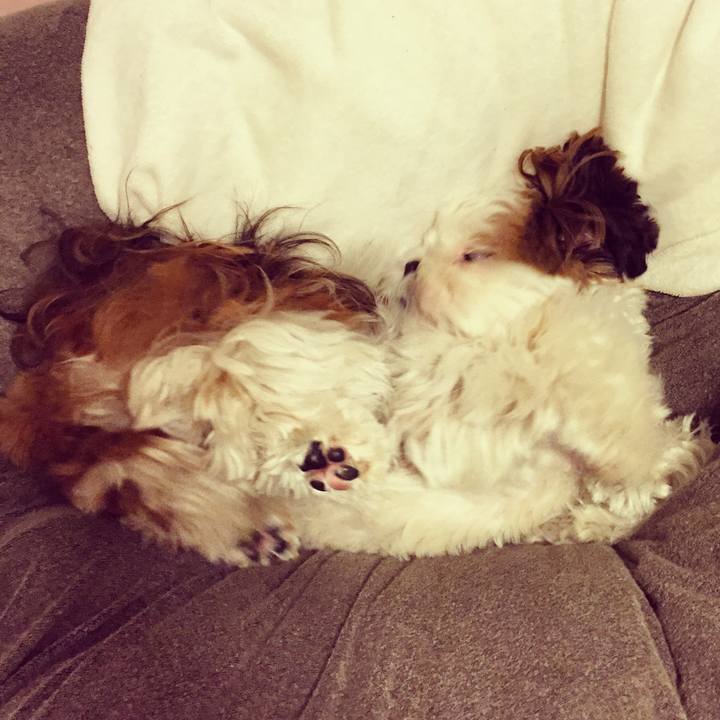 Ba548412 436c 413a aacb 45d48852c472