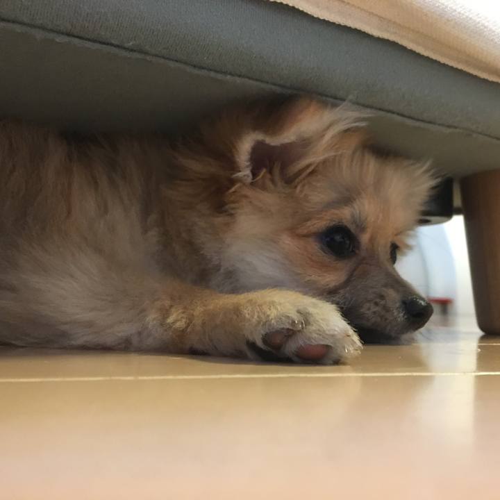 Ba550a16 560f 440d 9d34 9cb5e0ddcb1b