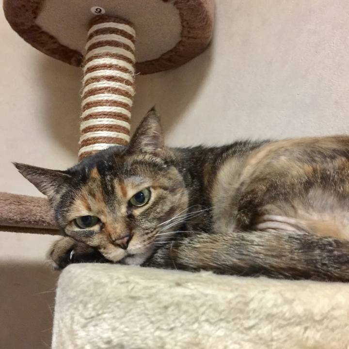 Ba5528ac c2c8 4c65 84b3 75e3a56183ad