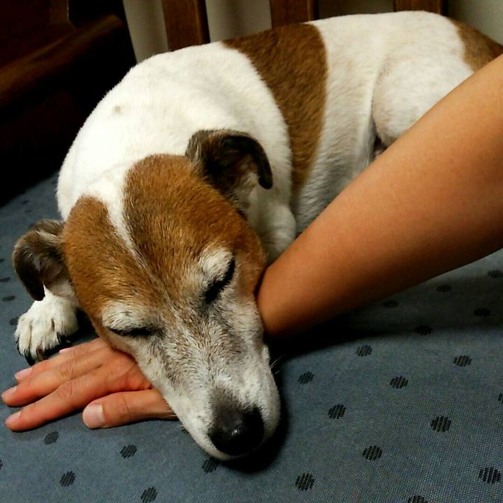 Ba55543f f8ed 4af3 bf0c e298f3b106eb