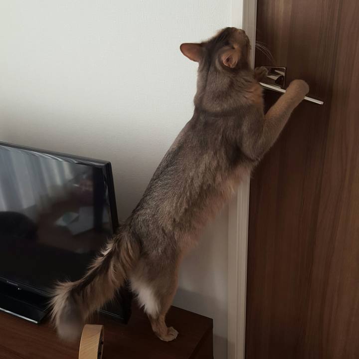 Ba5593c7 a35b 478c a6fa dbb26c413afb