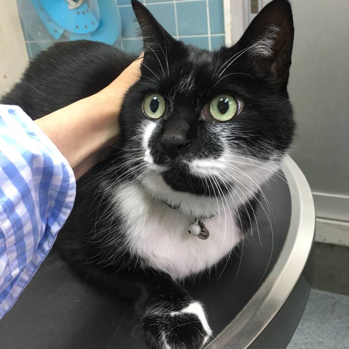 Ba55dcc8 6e1d 48c4 bb61 ff04aeba4db1