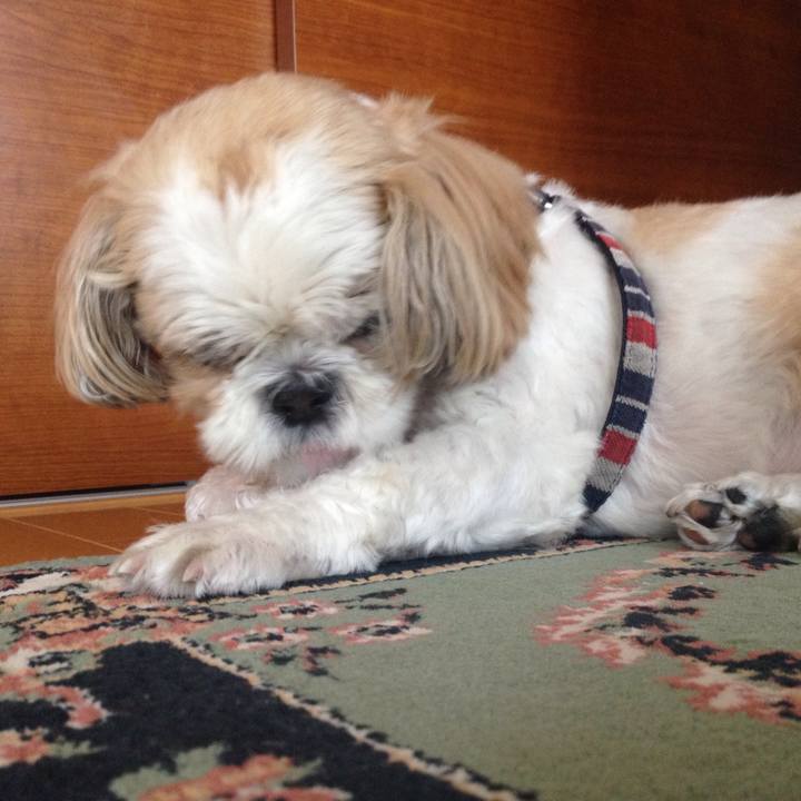 Ba561b8f f598 459c b62f debb4c883049