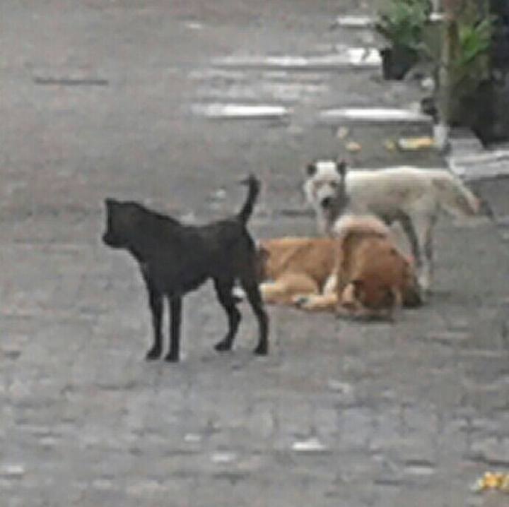 Ba568e2c 56af 49e1 9321 8366936c0134