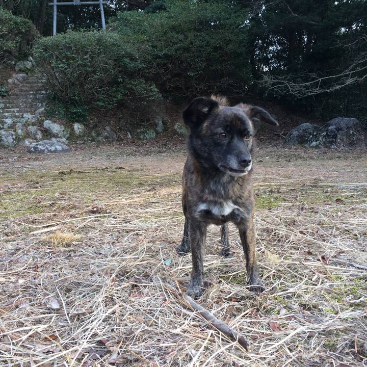 Ba570070 cdc8 487b adf4 0fda5ddaa132