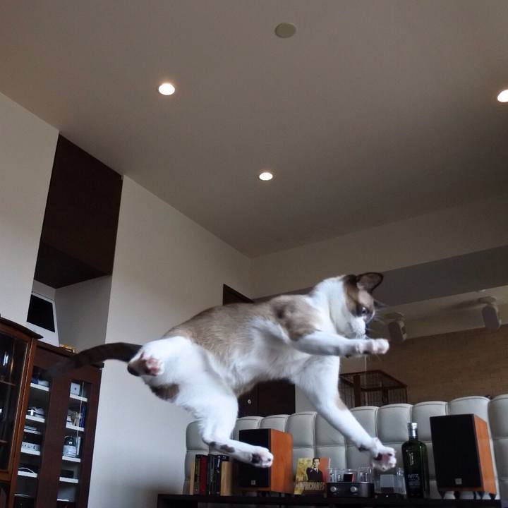 Ba5797b0 4f2a 4c5e a5b6 0c740e887f08