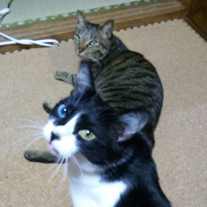 Ba57fd55 5375 41b2 b441 d930e6d8b28e