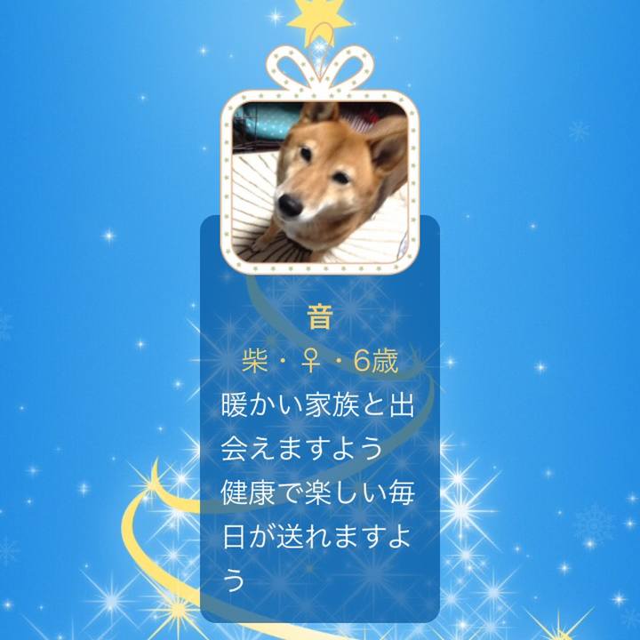 Ba581e0b f3da 4cec ab1d 6decac3dffc7