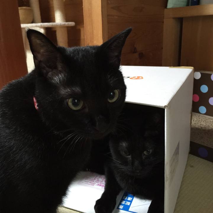 Ba584e34 88d2 41c4 9064 4c546fc27ae8