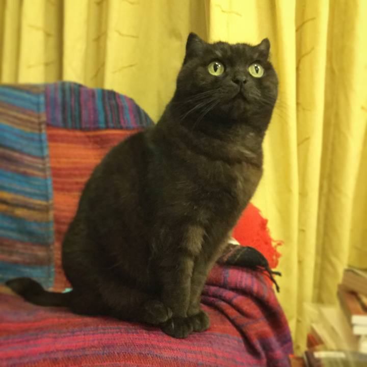 Ba58508b 8110 44b5 8f14 b79fe00f28a8