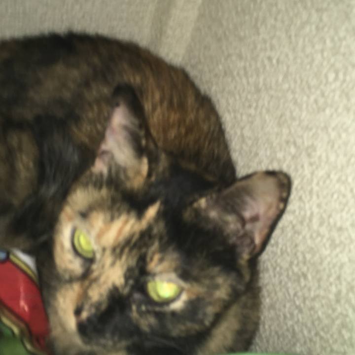 Ba5972ea 2656 4944 8f09 8b2ba11ba275