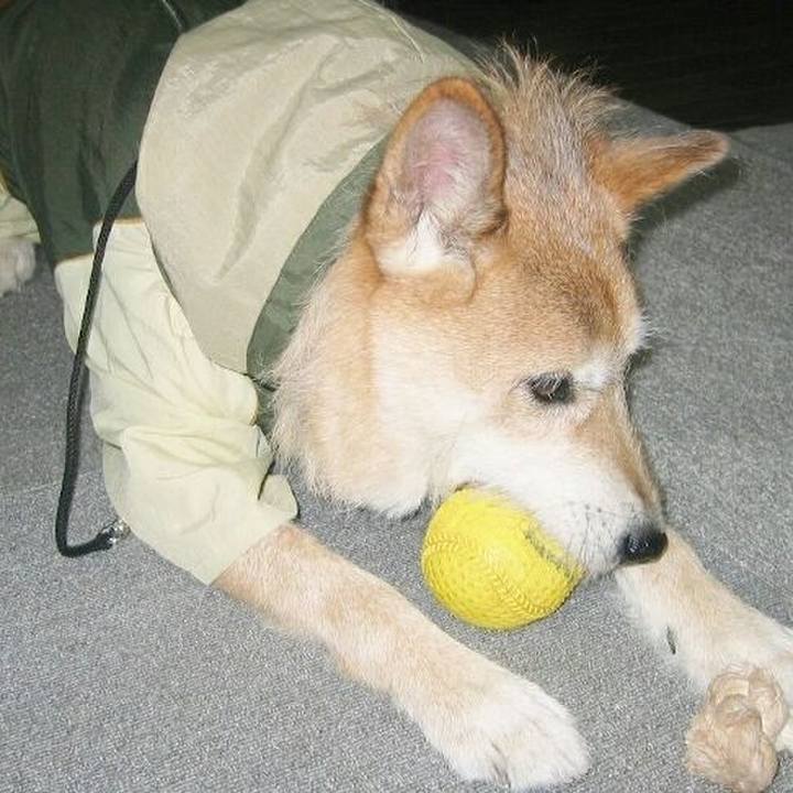 Ba5a40e8 174e 457c 9db1 3b9696e5bcb4