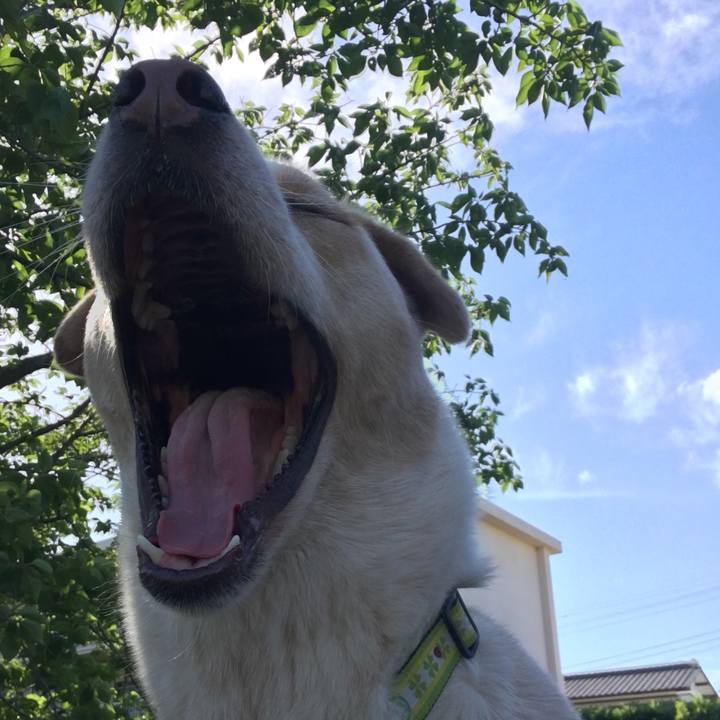 Ba5ae209 8ec2 4439 9a73 49ef3f97389b