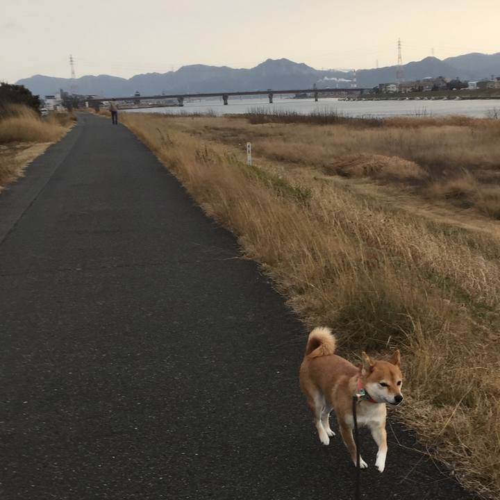 Ba5aef95 454c 48e9 9bfa def6e709719c