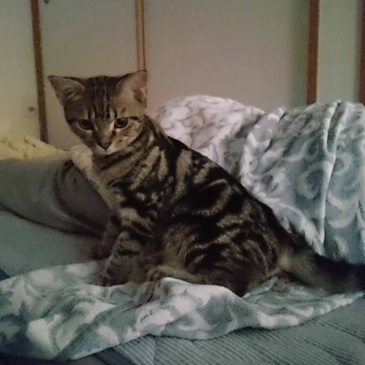 Ba5b5baa 6f44 4939 8277 4678a76fd7aa