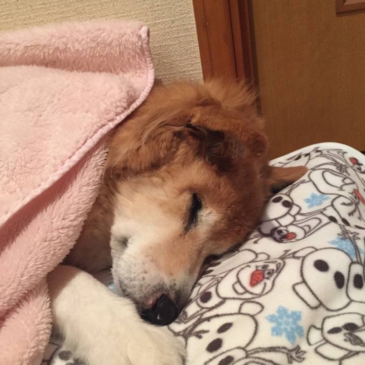 Ba5b99d3 190e 4277 bc6e cc6ede721090