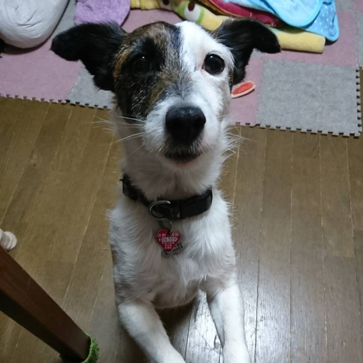 Ba5c2bef 7822 4338 8633 9b75e8111c1e