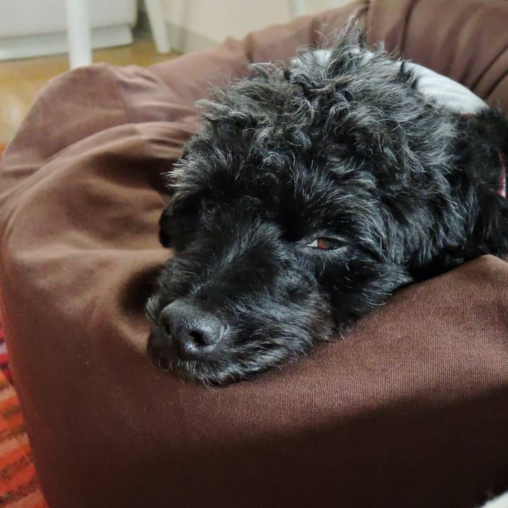 Ba5d7a2b 1e5a 408c ade0 aa31921f726b