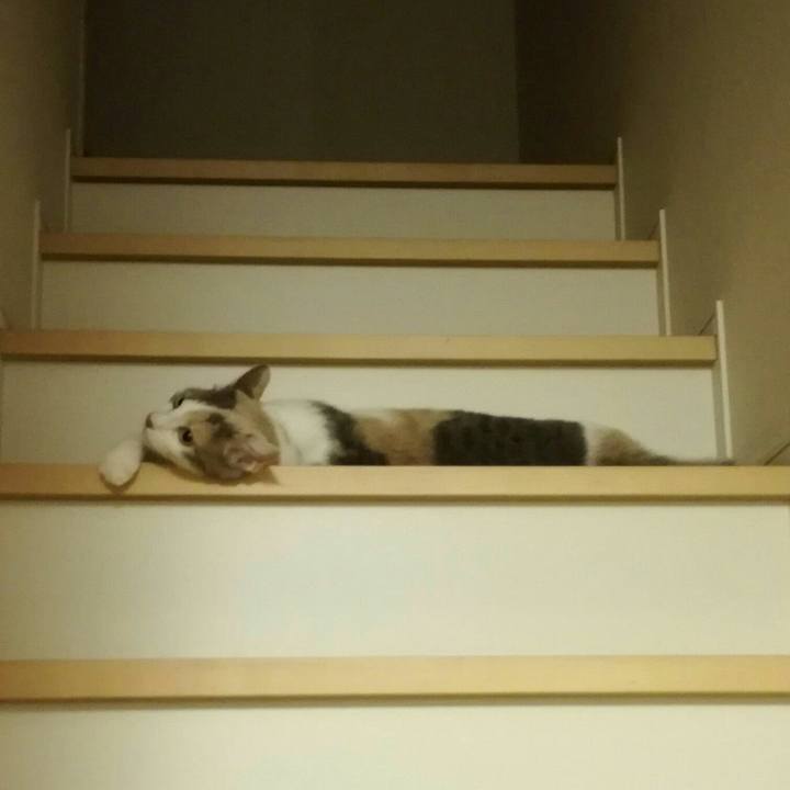 Ba5db976 ce59 45ce 86f4 6de149776f4c