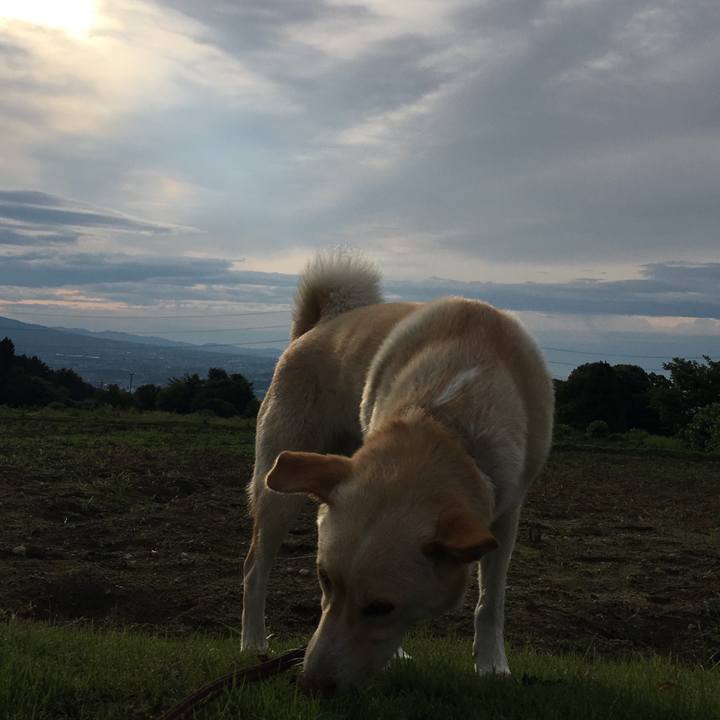 Ba5dc1df 430f 4766 b134 c0dfcf1e04de