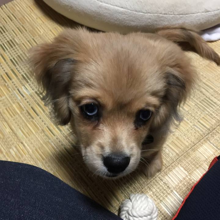 Ba5e949e 6a38 4fa9 ae9d 993e8c7370ea