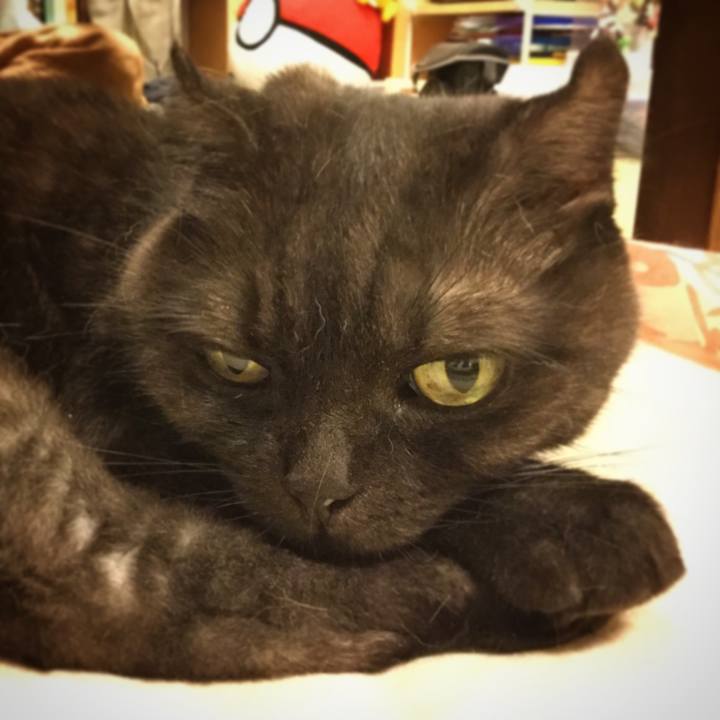 Ba5f2f37 6b15 4d4c b943 8419b0ad8b6e