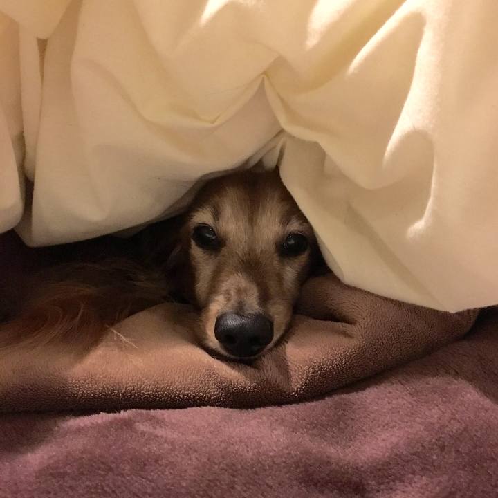 Ba5f6831 33e0 43f5 b126 19993cf59370