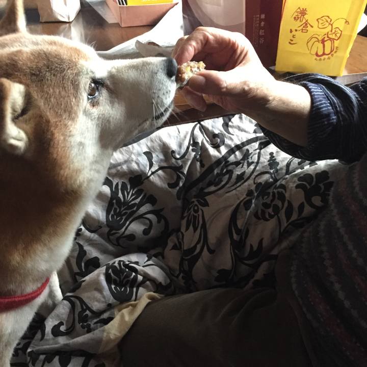 Ba5f964e ef8c 43af 8eaf 4f0f4b415122