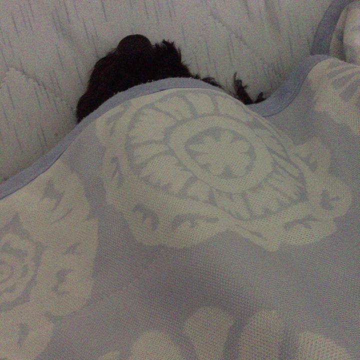 Ba6007cd 230b 4033 9c29 f9d30bd310d3