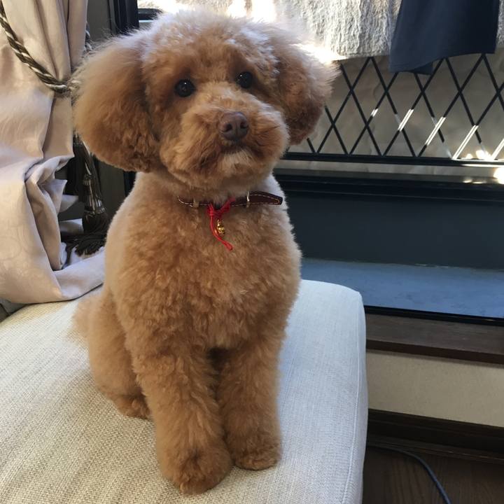 Ba6077f8 c605 4a6f 8882 a3369014f3f1