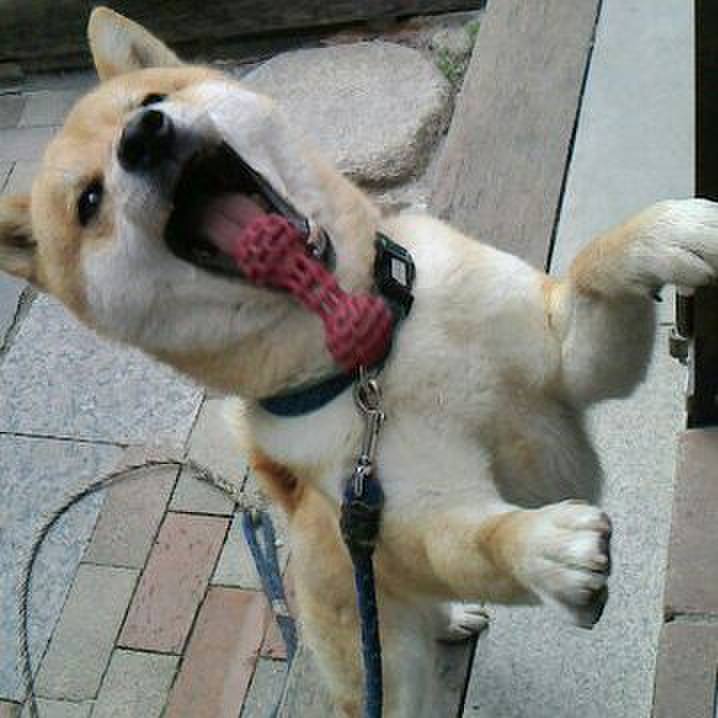 Ba60bc64 a065 4b6f 9750 fb88564b1baf