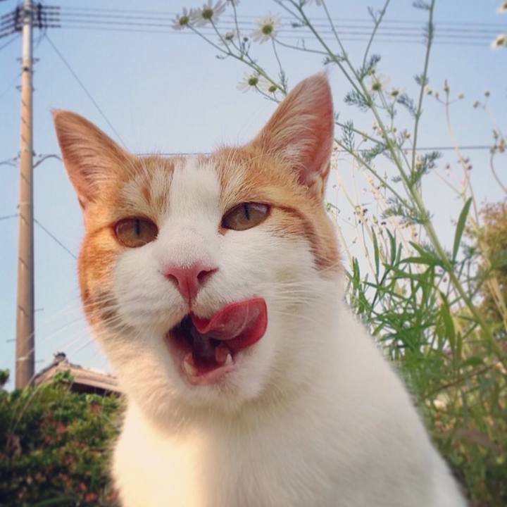 Ba61f2e8 105f 4e76 9d2a 6375d1c538a4