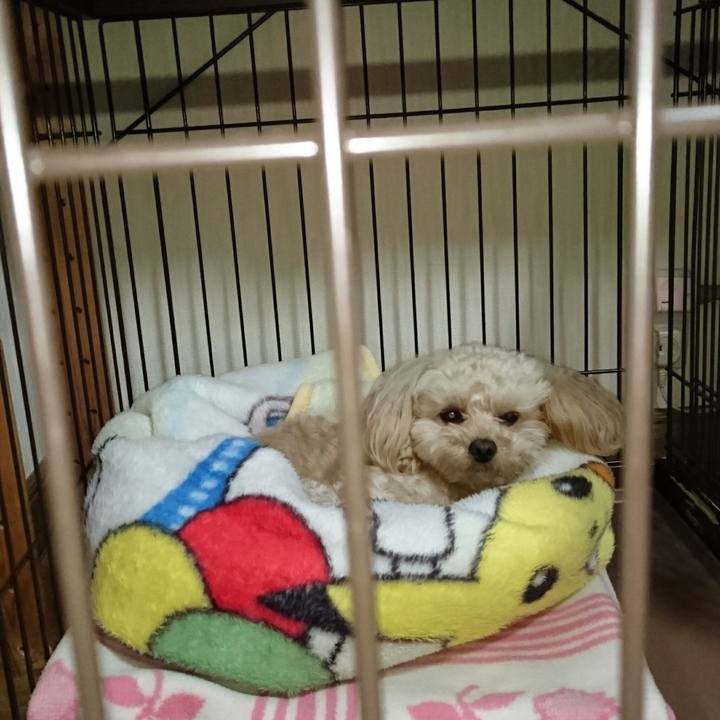 Ba622642 9d3a 4bb0 bcc5 9554e8e62f98