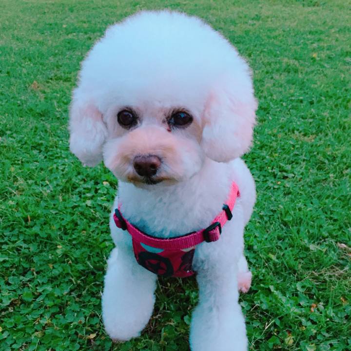 Ba6265d2 4a14 4d67 a529 1bc9f07916e4