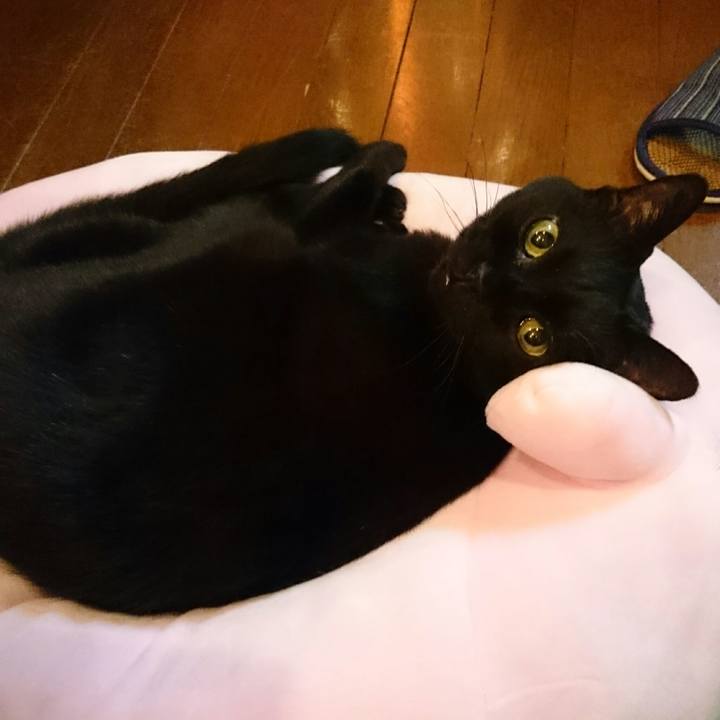 Ba62a92f 2a00 4c20 ba1f 6c6ad1a4464e