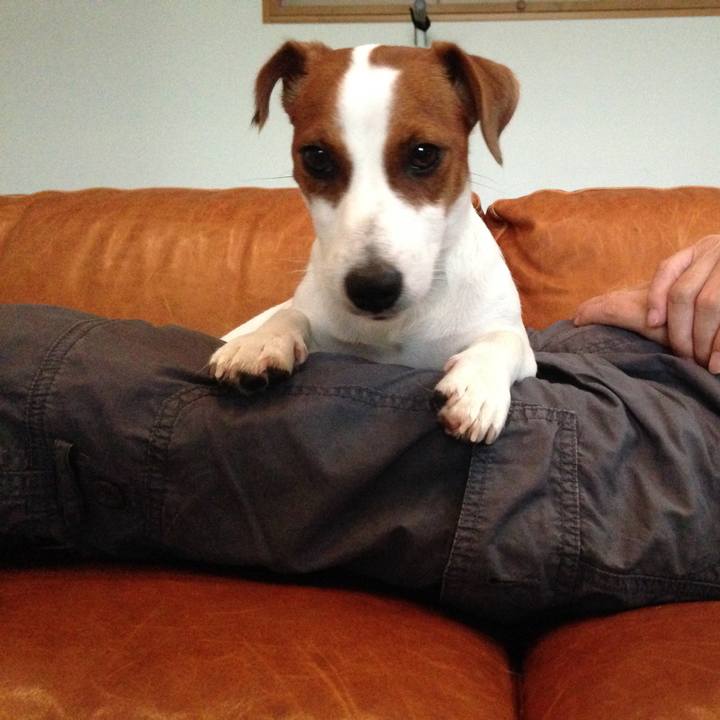 Ba62c74b 53a4 44f1 bc45 77f302267d02