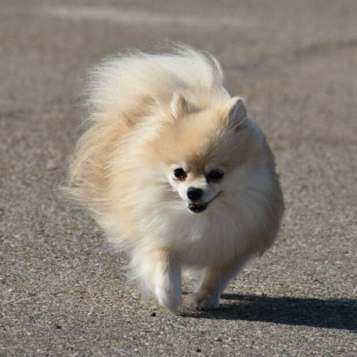 Ba62f624 ec00 4181 9747 d71b355541e0