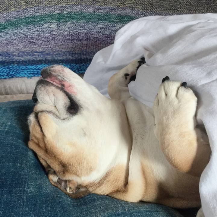 Ba6355ae f729 4947 ac7c 183e56493cfd