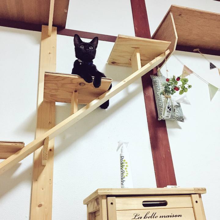 Ba63a4a1 b2e3 43bb 98eb 250aea471b1d