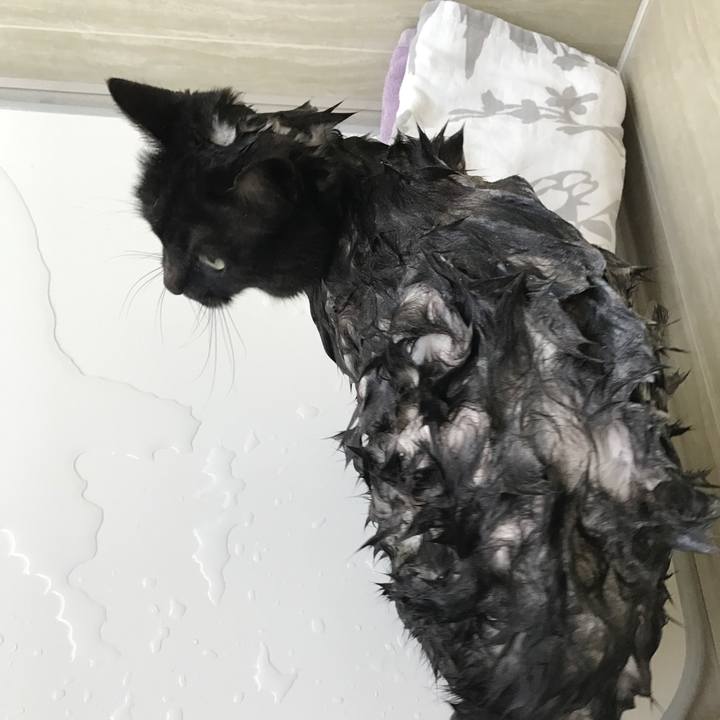 Ba63e829 68e8 4b72 8cb4 d80298763907