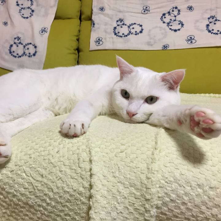 Ba63fa55 9e0a 4515 aaa6 90db81082a18