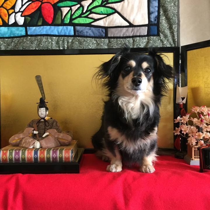 Ba640af7 912c 4e13 a8a8 b3047526cf28