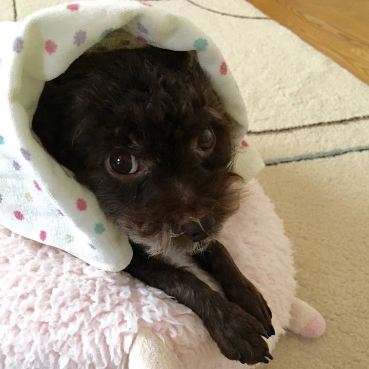 Ba64342c 9afe 4bb1 beaf a716a8981e5f