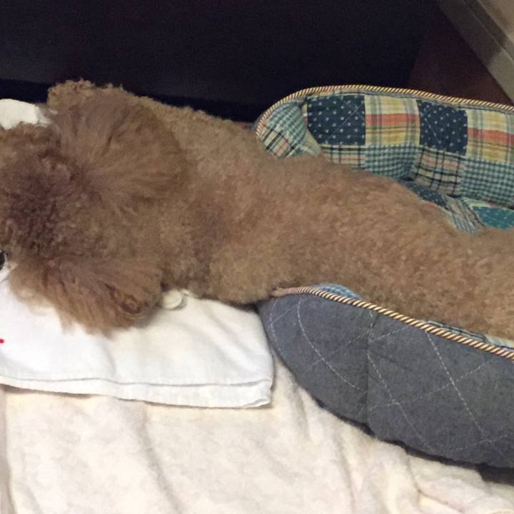 Ba64e4b6 82ea 42f0 94bd 1547048d69b9