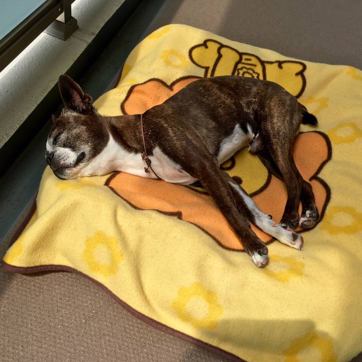 Ba65da88 889c 43c2 a4d6 5efc5e9f6634