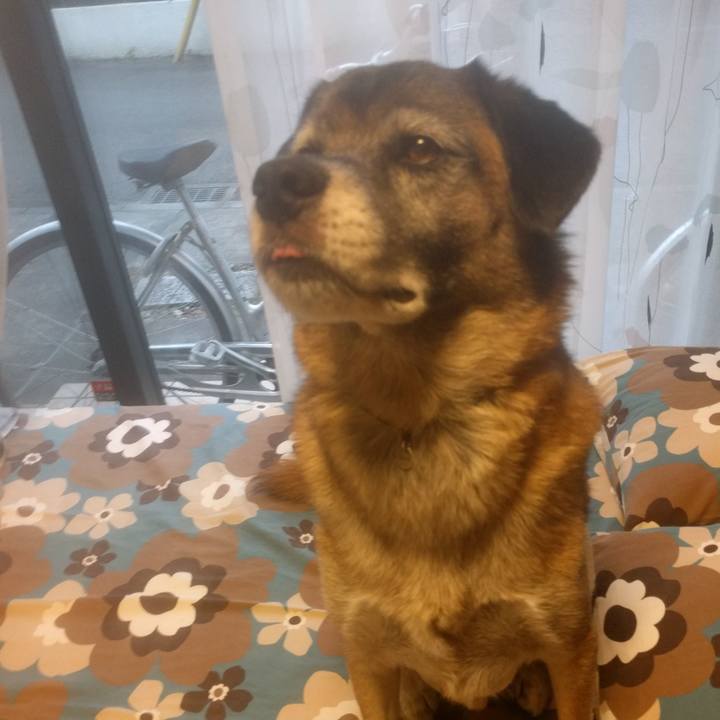 Ba660281 d02e 4a81 af13 1131a7c2071a